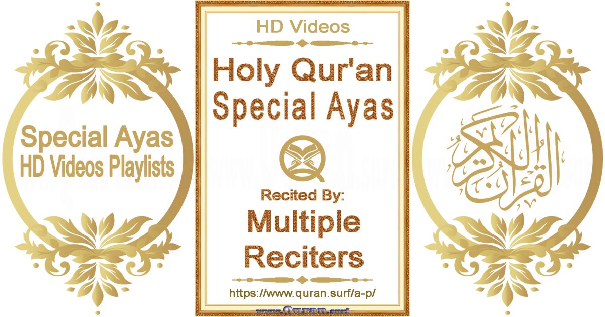 Holy Qur'an Playlists for special Aya
