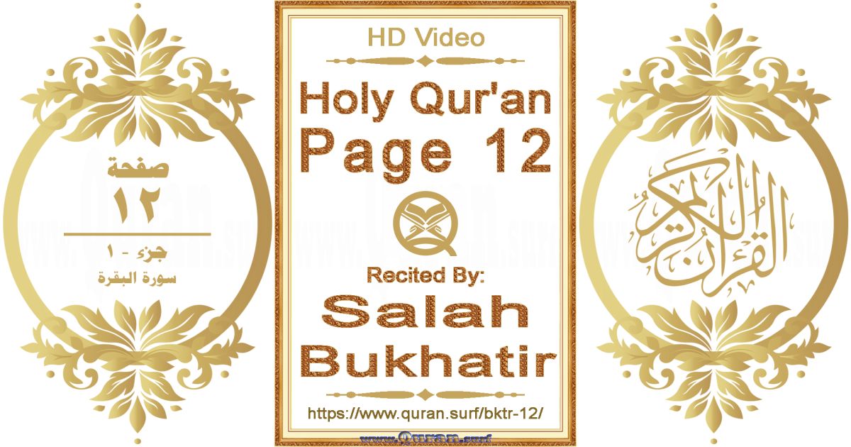 Holy Qur'an Page 012 || Reciting by Salah Bukhatir