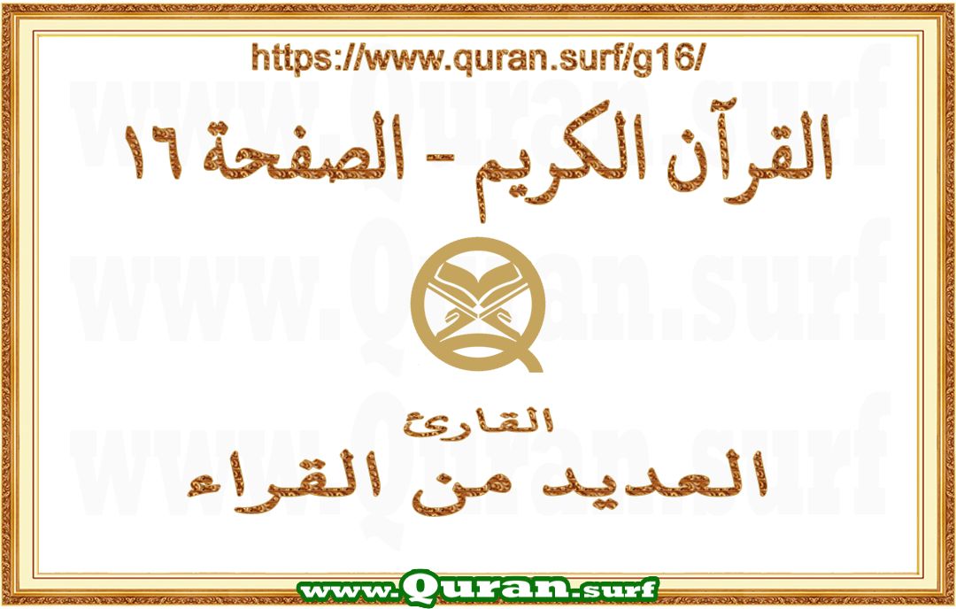 Holy Qur'an Page 016 | Text Highlighting Vertical Videos on Holy Qur'an Recitation