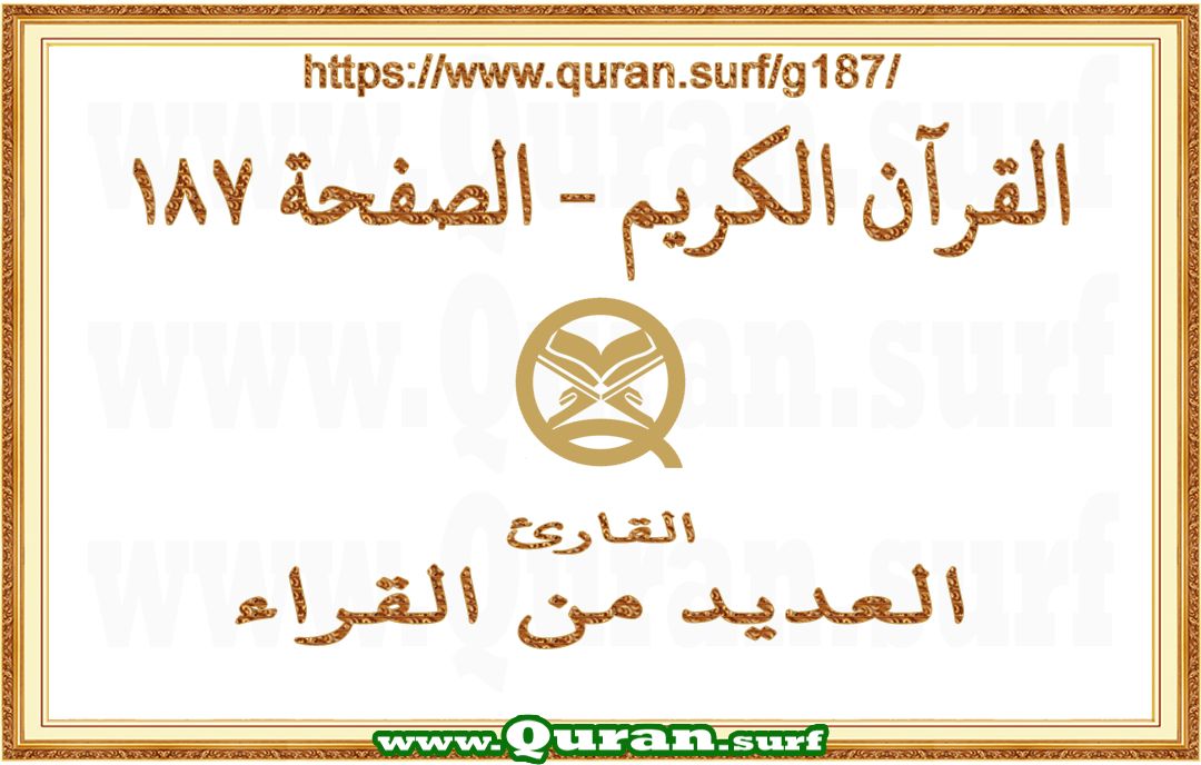 Holy Qur'an Page 187 | Text Highlighting Vertical Videos on Holy Qur'an Recitation