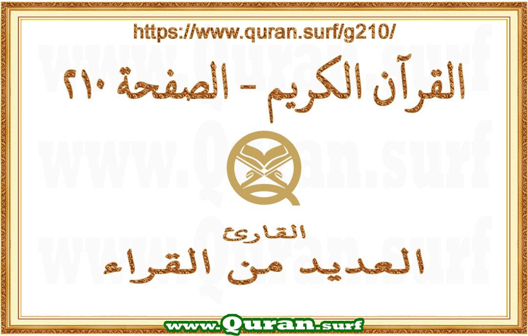 Holy Qur'an Page 210 | Text Highlighting Vertical Videos on Holy Qur'an Recitation