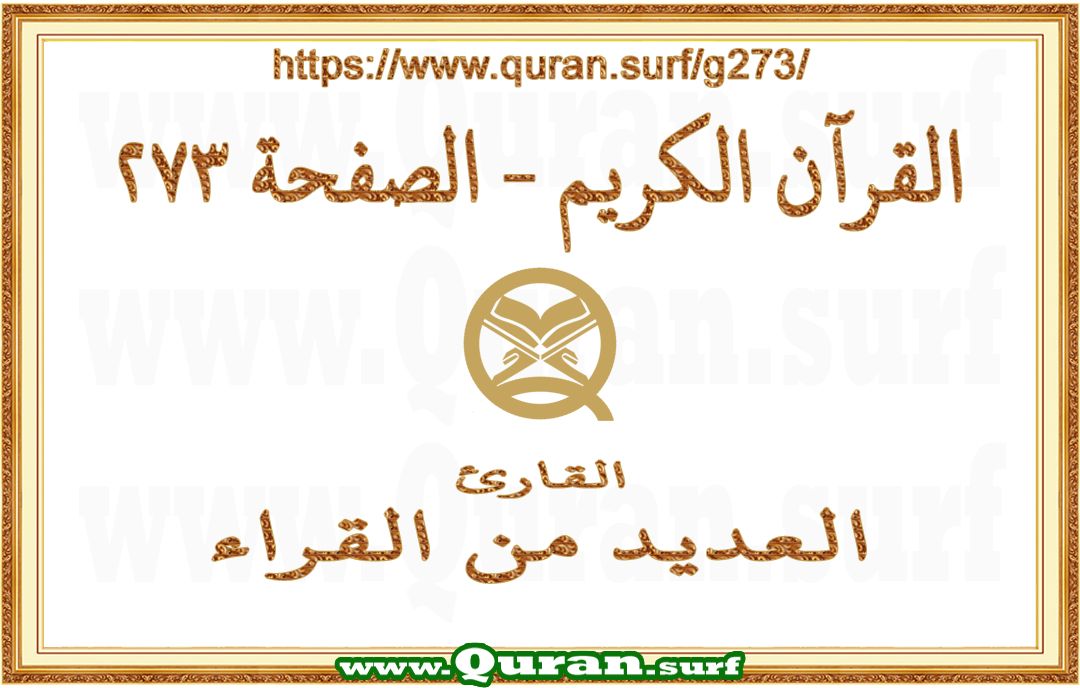 Holy Qur'an Page 273 | Text Highlighting Vertical Videos on Holy Qur'an Recitation