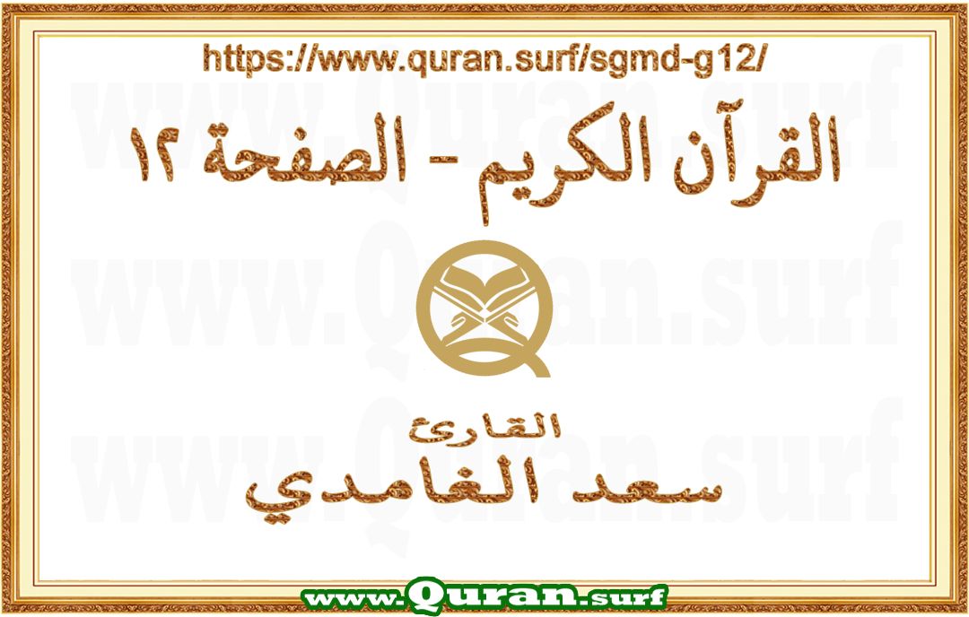 Holy Qur'an Page 012 | Saad Al-Ghamdi | Text highlighting vertical video on Holy Quran Recitation