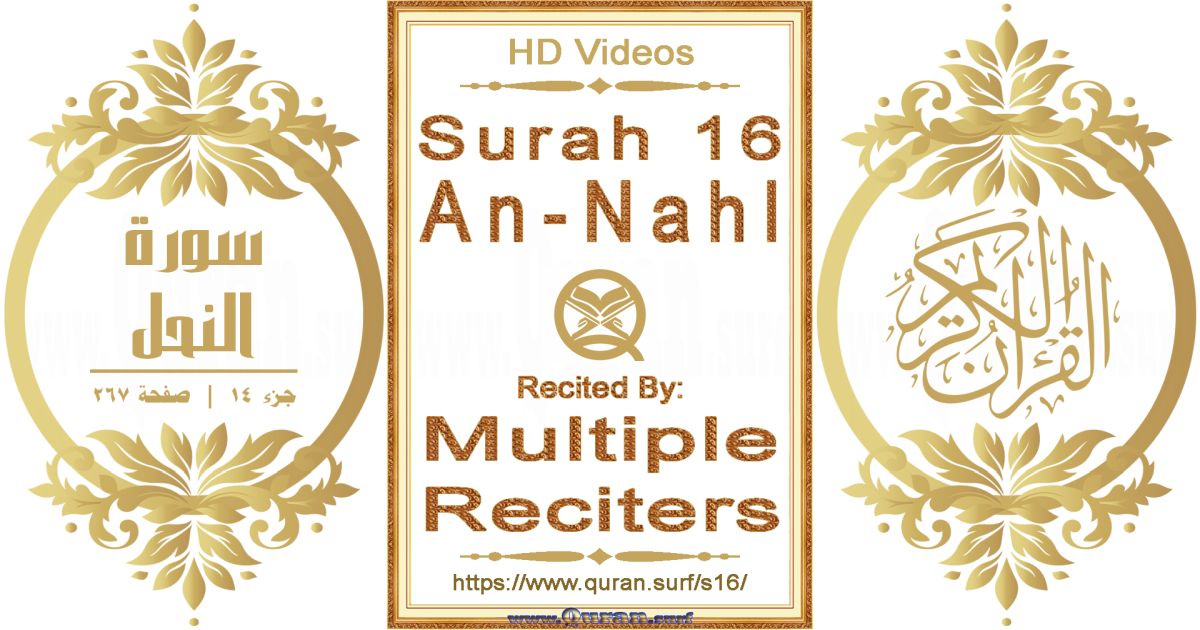 Surah 016 An-Nahl HD videos playlist by multiple reciters class=aligncenter size-full