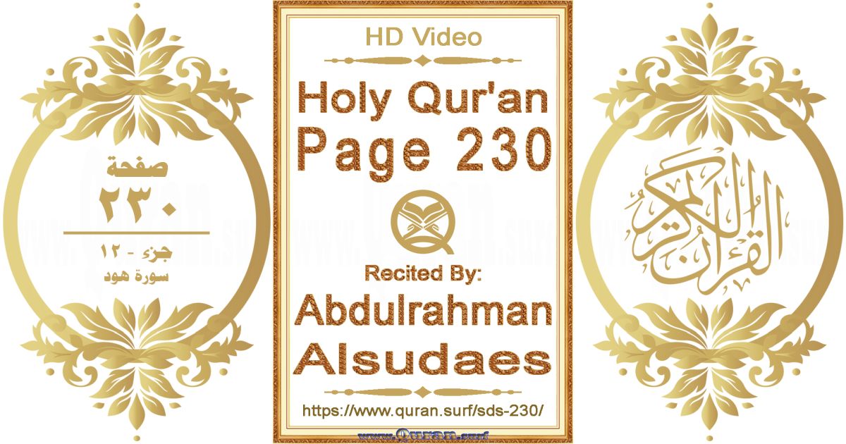 Holy Qur'an Page 230 || Reciting by Abdulrahman Alsudaes